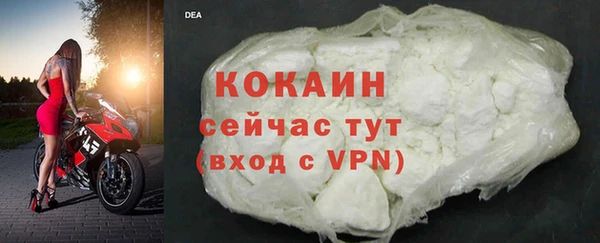 ГАЛЛЮЦИНОГЕННЫЕ ГРИБЫ Верея