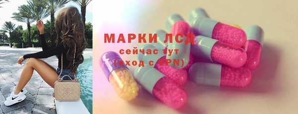 ГАЛЛЮЦИНОГЕННЫЕ ГРИБЫ Верея