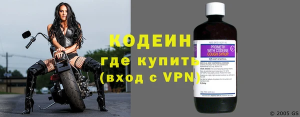 ГАЛЛЮЦИНОГЕННЫЕ ГРИБЫ Верея