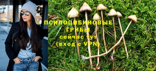 гидра Верхнеуральск