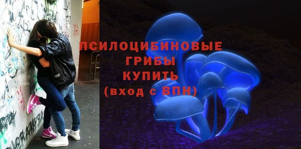 ГАЛЛЮЦИНОГЕННЫЕ ГРИБЫ Верея