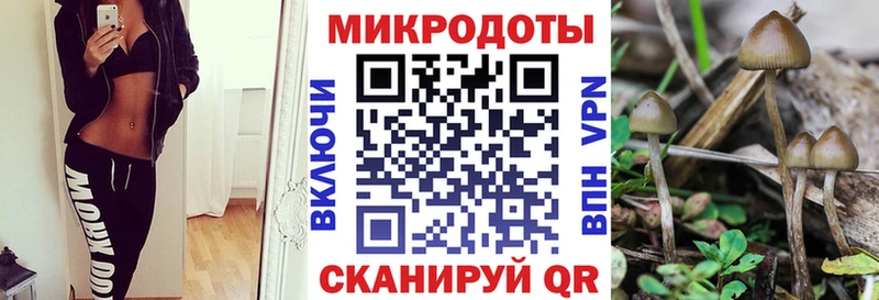 Галлюциногенные грибы прущие грибы  Купить  Краснослободск 